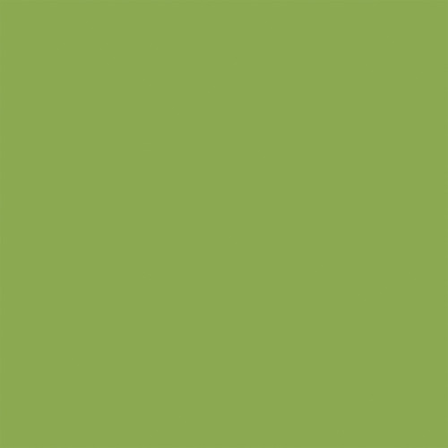 25 Pack Born To Travel Double-Sided Cardstock 12"X12"-Light Blue/ Green 5A002L57-1GMGR