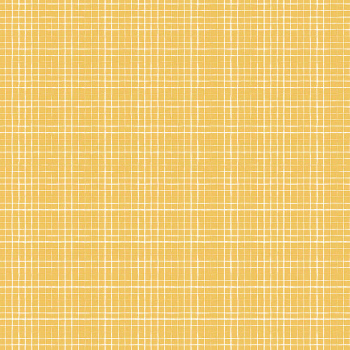 25 Pack Firefly Double-Sided Cardstock 12"X12"-Jars Of Fireflies 5A002LFS-1GMRQ