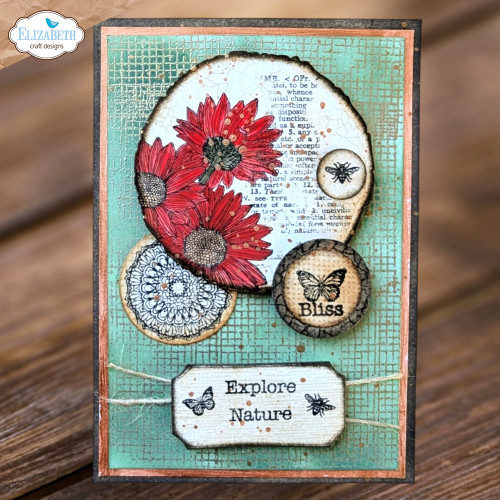 Elizabeth Craft Metal Die-Mushrooms & Tree Stumps - 5A002JY4-1GLGG Elizabeth Craft Metal Die-Mushrooms & Tree Stumps - 5A002JY4-1GLGG