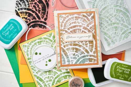 Sizzix A5 Clear Stamps W/Framelits Dies By Stacey Park 7/Pkg-Creative Coordinations, Radiance - 5A002CN3-1GG5F Sizzix A5 Clear Stamps W/Framelits Dies By Stacey Park 7/Pkg-Creative Coordinations, Radiance - 5A002CN3-1GG5F