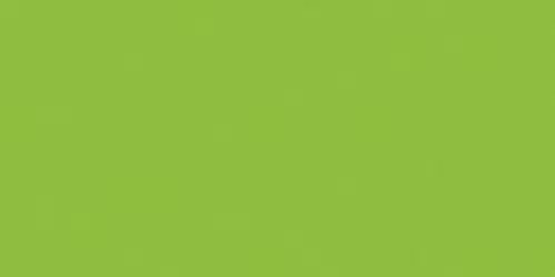 6 Pack - Fimo Soft Polymer Clay 2oz-Apple Green - EF8020-50US - 4006608809652 6 Pack - Fimo Soft Polymer Clay 2oz-Apple Green - EF8020-50US - 4006608809652