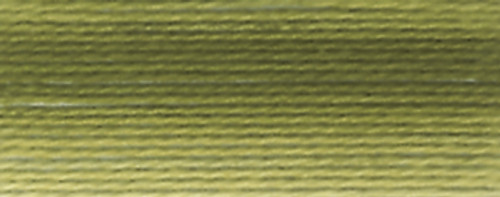 10 Pack - DMC Pearl Cotton Ball Size 8 87yd-Variegated Olive - 116 8-94 - 077540041534