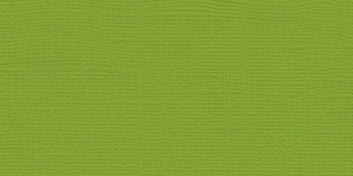 25 Pack - My Colors Canvas 80lb Cover Weight Cardstock 12"X12"-Mint Julep - CV12-55516 - 699464197250 25 Pack - My Colors Canvas 80lb Cover Weight Cardstock 12"X12"-Mint Julep - CV12-55516 - 699464197250