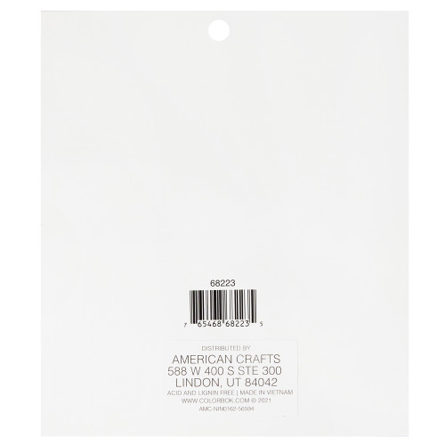 3 Pack - Colorbok Single-Sided Printed Cardstock 6"X6" 100/Pkg-Light Bright - 68223