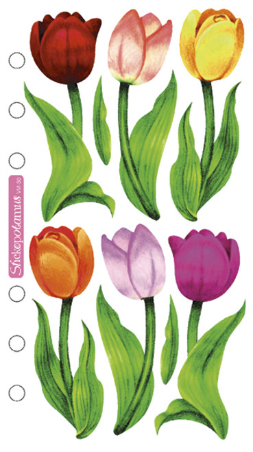 Sticko Vellum Stickers-Tulips - SPVM30