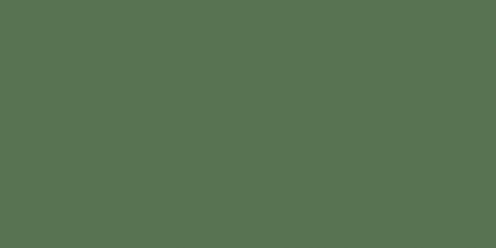 DecoArt Crafter's Acrylic All-Purpose Paint 2oz-Forest Green - DCA-39