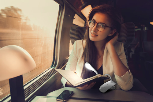 Daylight Smart Clip-On Lamp-White - UN1380 Daylight Smart Clip-On Lamp-White - UN1380