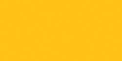 Coats All-Purpose Plastic Zipper 22"-Spark Gold - F72 22-182 - 073650393020