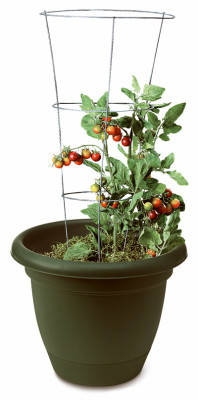 5 Pack - Panacea Galvanized Tomato Cage-33"X12" - 89723 - 093432897232