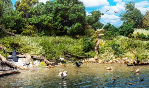 Woodland Scenics Ducks And Swans-HO-Scale - 5A002K4G-1GLMJ Woodland Scenics Ducks And Swans-HO-Scale - 5A002K4G-1GLMJ