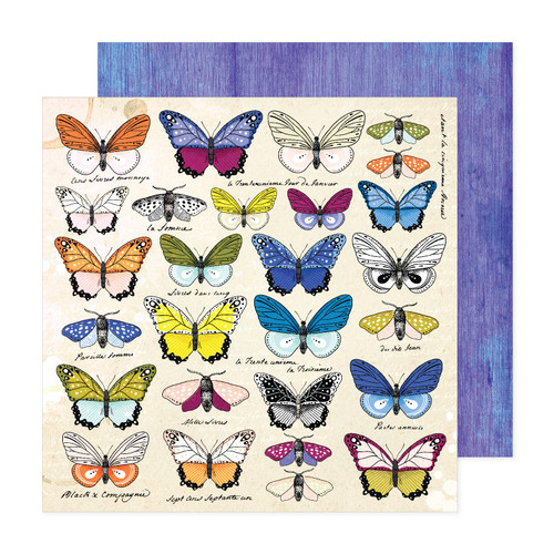 25 Pack - Vicki Boutin Discover + Create Double-Sided Cardstock 12X12"-Collector - VBDC12-22131 - 765468045665