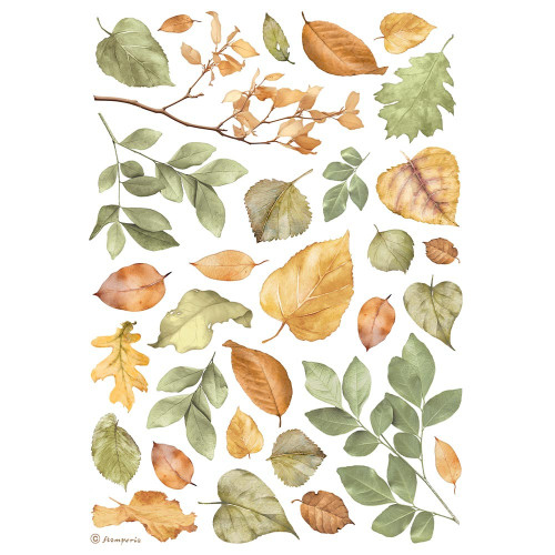 3 Pack Stamperia Assorted Rice Paper A4 6/Sheets-Leaves 5A002MD9-1GNV3 - 5993110041061