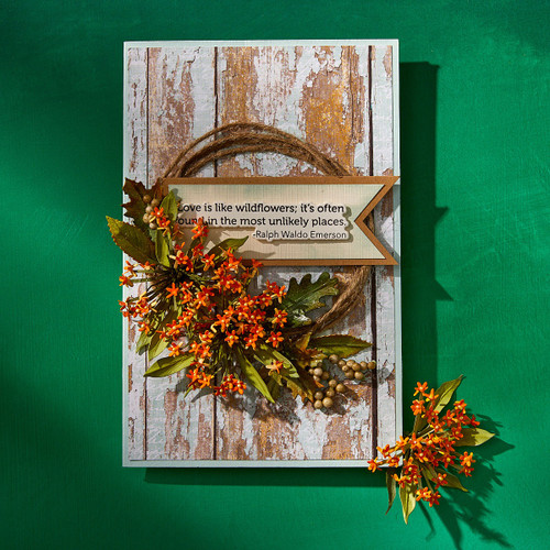 Spellbinders Die Bundle by Susan Tierney-Cockburn-Through the Meadow - 5A002WJ6-1GX92 Spellbinders Die Bundle by Susan Tierney-Cockburn-Through the Meadow - 5A002WJ6-1GX92