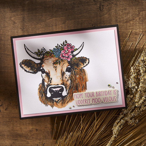 Spellbinders BetterPress Plate & Die Set by Justine Dvorak-Clover - 5A002WJB-1GX93