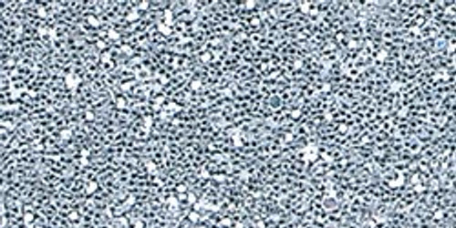 6 Pack - DecoArt Craft Twinkles Glitter Paint 2oz-Silver - DCT-2 - 016455932308
