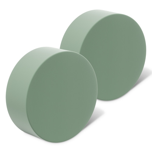 4 Pack - FloraCraft Desert DryFM Disc 2/Pkg-1.6"X4.3" - 5A002WLQ-1GXDK
