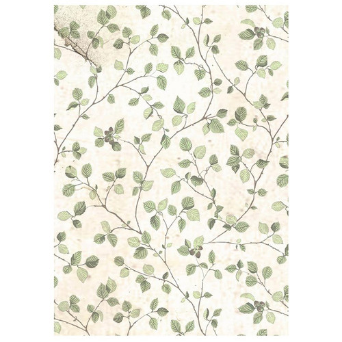 3 Pack - Stamperia Rice Paper Backgrounds A6 8/Pkg -House of Roses - 5A002WFR-1GX7V 3 Pack - Stamperia Rice Paper Backgrounds A6 8/Pkg -House of Roses - 5A002WFR-1GX7V