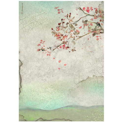 6 Pack Stamperia Rice Paper Sheet A4-House Roses Branch 5A002WGZ-1GX85 - 5993110042679