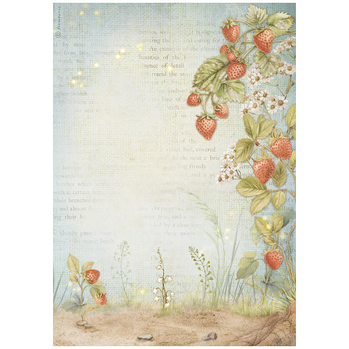 6 Pack Stamperia Rice Paper Sheet A4-Hidden Grove Strawberries 5A002WGJ-1GX6M - 5993110042099