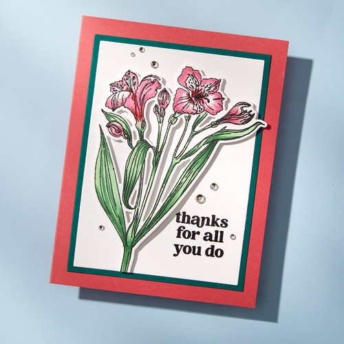 Spellbinders Etcehd Dies By Simon Hurley-Heartfelt Blooms - 5A002XD5-1GYDG Spellbinders Etcehd Dies By Simon Hurley-Heartfelt Blooms - 5A002XD5-1GYDG