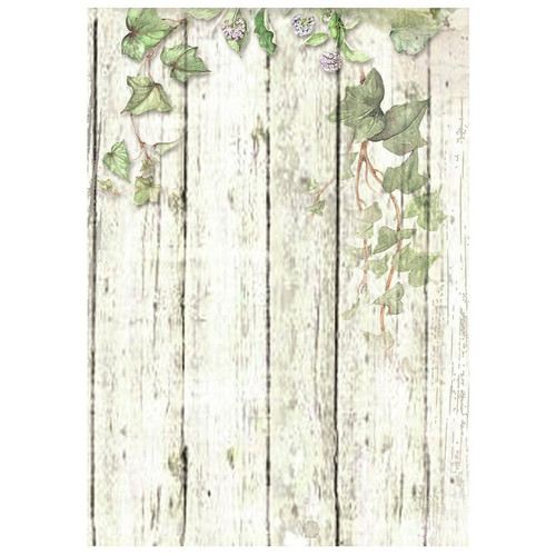 Stamperia Rice Paper Backgrounds A6 8/Pkg -House of Roses - 5A002WFR-1GX7V