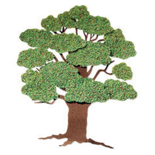 Jolee's By You Dimensional Stickers-Summer Tree - JJ-C-56598 - 015586565980 Jolee's By You Dimensional Stickers-Summer Tree - JJ-C-56598 - 015586565980