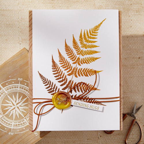 Spellbinders BetterPress Plate-Lush Ferns, Field Notes - 5A002YGK-1GZBN