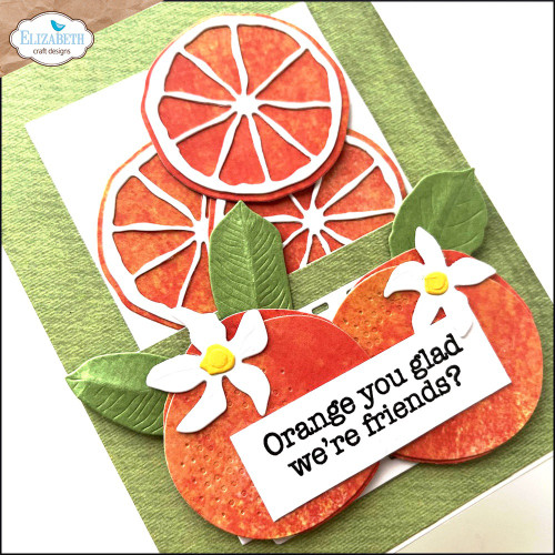 Elizabeth Craft Metal Dies-Fresh Fruit 5A002Y1Y-1GYZW