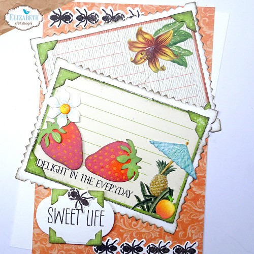 Elizabeth Craft Metal Dies-Picture Frames & Mats - 5A002Y1X-1GZ02 Elizabeth Craft Metal Dies-Picture Frames & Mats - 5A002Y1X-1GZ02