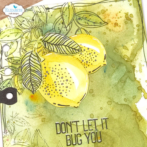 Elizabeth Craft Clear Stamps-Large Nature - 5A002Y23-1GZ03 Elizabeth Craft Clear Stamps-Large Nature - 5A002Y23-1GZ03