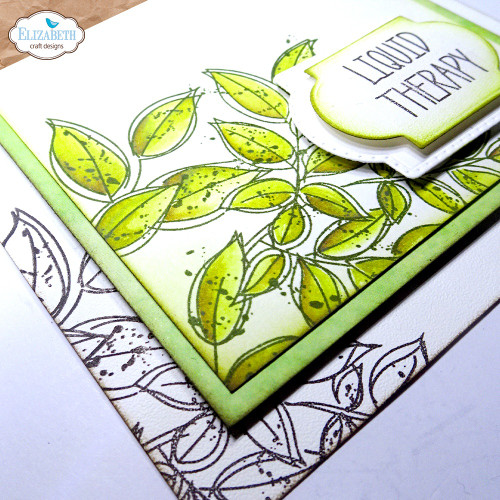 Elizabeth Craft Clear Stamps-Large Nature - 5A002Y23-1GZ03 Elizabeth Craft Clear Stamps-Large Nature - 5A002Y23-1GZ03