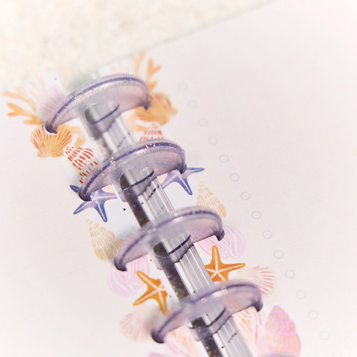 2 Pack - Happy Planner Classic Fill Paper-Shell Yeah - 5A002X6K-1GY3D