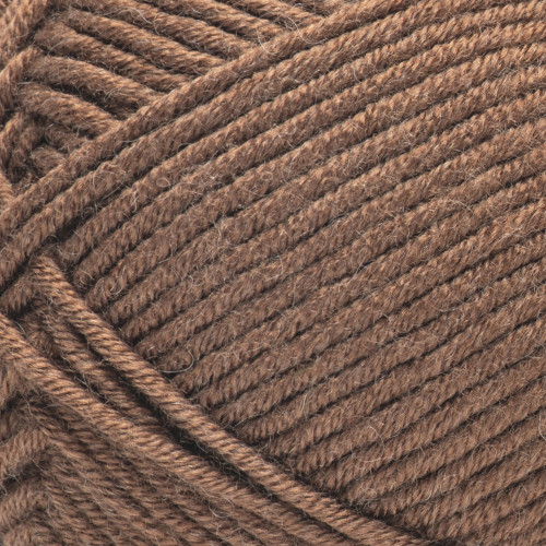 2 Pack - Caron Simply Me Yarn-Bronzite - 5A002X8W-1GY80