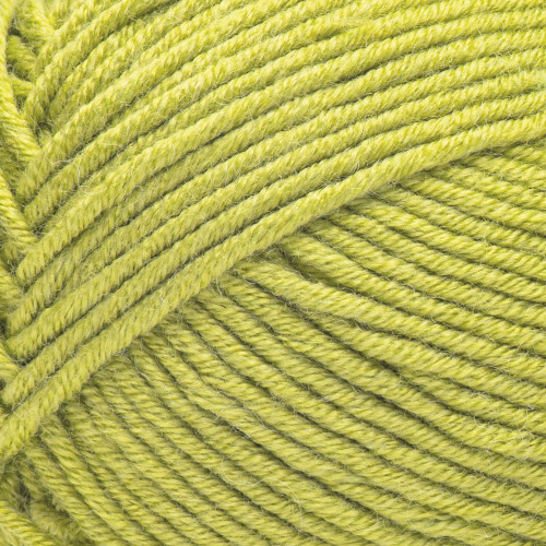 2 Pack - Caron Simply Me Yarn-Olive Quartz - 5A002X8W-1GY8X