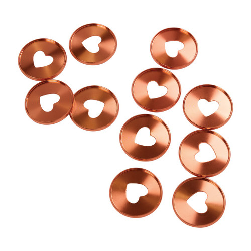 Happy Planner Expander Metal Discs-Coral - 5A002X3Y-1GY27 Happy Planner Expander Metal Discs-Coral - 5A002X3Y-1GY27