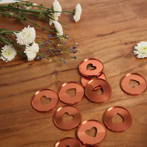 Happy Planner Expander Metal Discs-Coral - 5A002X3Y-1GY27