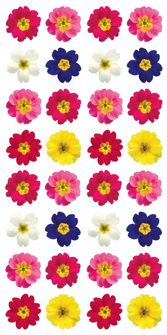 6 Pack - Paper House Decorative Stickers-Primrose - 5A0031MT-1H35X - 767636139510
