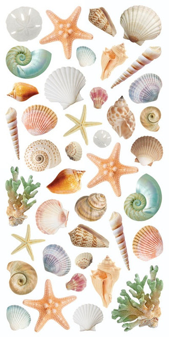 6 Pack - Paper House Decorative Stickers-Shells - 5A0031MR-1H36F - 767636139619 6 Pack - Paper House Decorative Stickers-Shells - 5A0031MR-1H36F - 767636139619