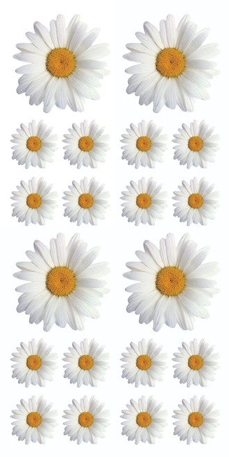 Paper House Decorative Stickers-Oxeye Daisy - 5A0031NF-1H35W - 767636139527 Paper House Decorative Stickers-Oxeye Daisy - 5A0031NF-1H35W - 767636139527