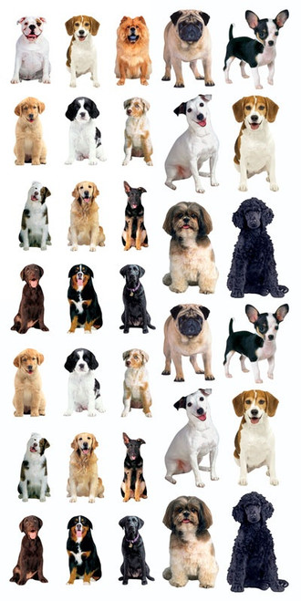 Paper House Decorative Stickers-Dogs - 5A0031MY-1H368 - 767636139572 Paper House Decorative Stickers-Dogs - 5A0031MY-1H368 - 767636139572