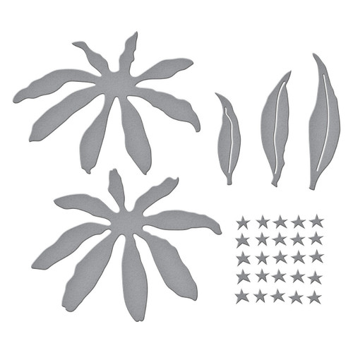 Spellbinders Etched Dies By Susan Tierney-Cockburn-Echinacea (Coneflower) - 5A0031TN-1H3GV