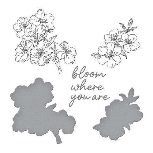 Spellbinders BetterPress Plate & Die By Alex Syberia Designs-Cherry Blossoms, Spring In Kyoto - 5A0031VD-1H3GM
