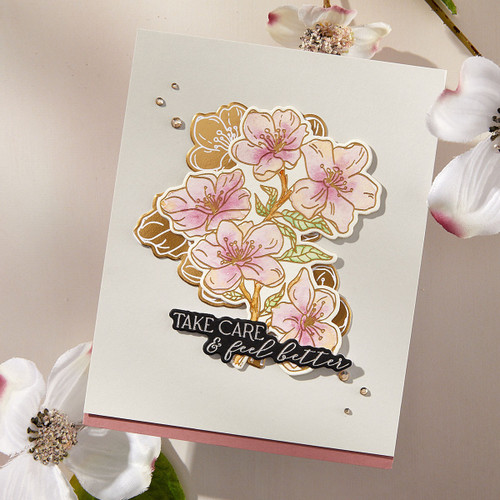 Spellbinders BetterPress Plate & Die By Alex Syberia Designs-Cherry Blossoms, Spring In Kyoto - 5A0031VD-1H3GM Spellbinders BetterPress Plate & Die By Alex Syberia Designs-Cherry Blossoms, Spring In Kyoto - 5A0031VD-1H3GM