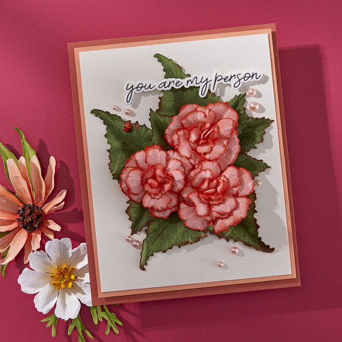 Spellbinders Etched Dies By Susan Tierney-Cockburn-Begonia And Ladybugs 5A0031V8-1H3H4