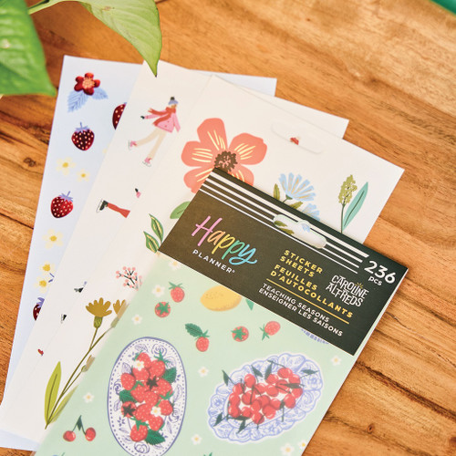 3 Pack - Happy Planner Sticker Value Pack 10/Sheets-Teaching Seasons - 5A00325J-1H3TS