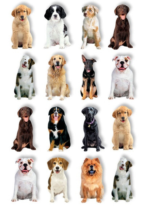 Paper House Pop Up Stickers-Dogs - 5A0031N9-1H36L - 767636139756