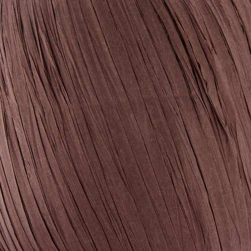 Premier Yarn Raffia -Cacao - 5A0032D9-1H41P