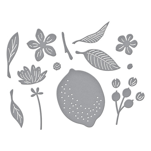 Spellbinders Etched Die From La Dolce Vita-Citrus Spritz - 5A0032LM-1H4B4