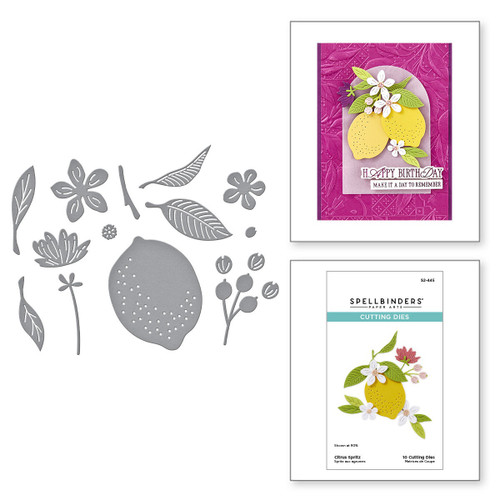 Spellbinders Etched Die From La Dolce Vita-Citrus Spritz - 5A0032LM-1H4B4 Spellbinders Etched Die From La Dolce Vita-Citrus Spritz - 5A0032LM-1H4B4