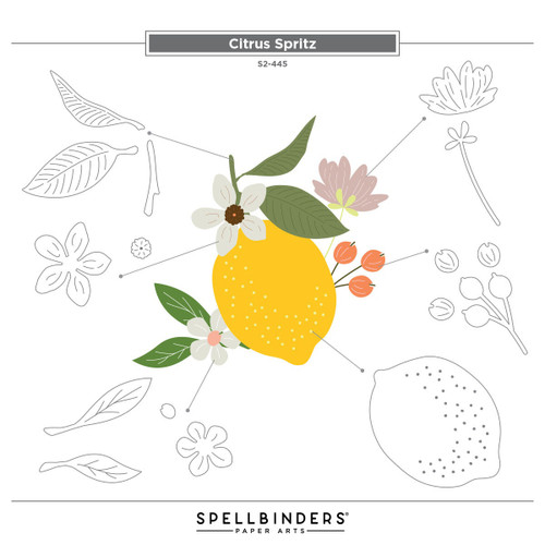Spellbinders Etched Die From La Dolce Vita-Citrus Spritz 5A0032LM-1H4B4